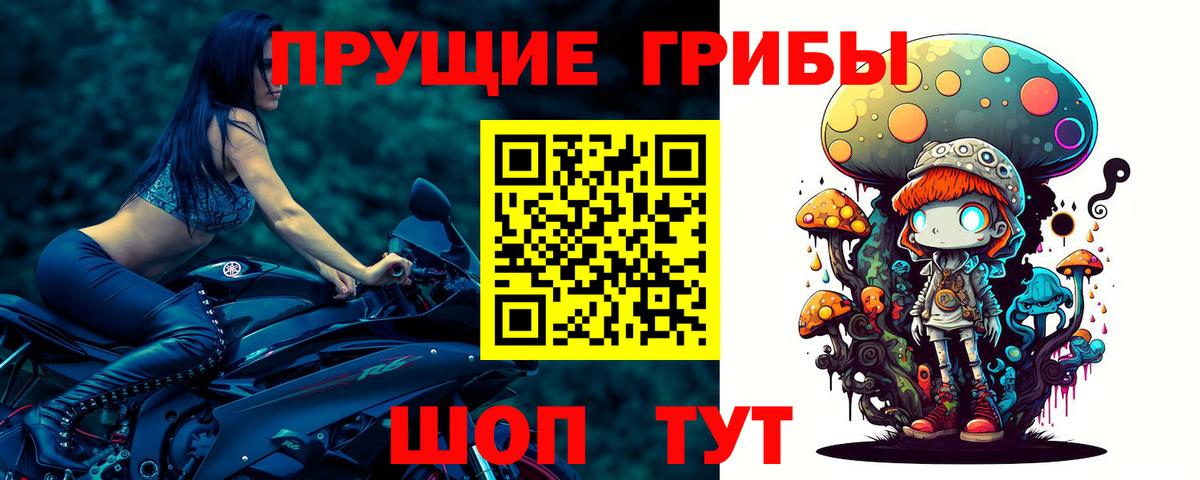 Светлоград  Псилоцибиновые грибы Magic Shrooms  Вход с VPN 